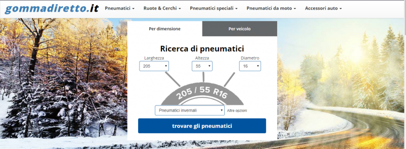 Recensione gommadiretto.it